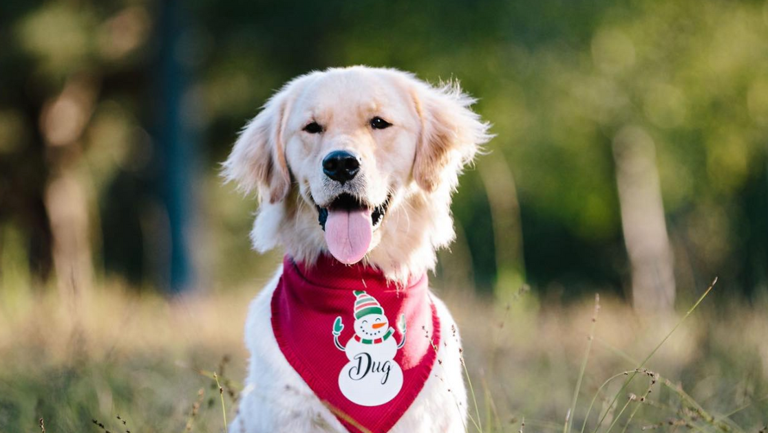 9 Stocking Stuffer Ideas for Adult Friends & Family Knack